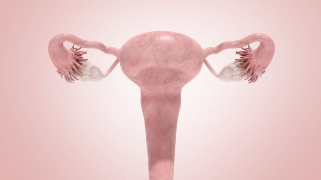 Trasplante de útero: Una realidad esperanzadora