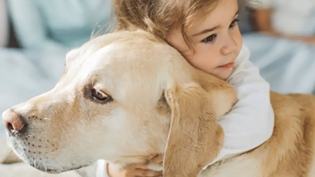 beneficios de una mascota para tu hijo