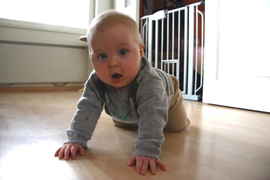 bebe gateando en casa