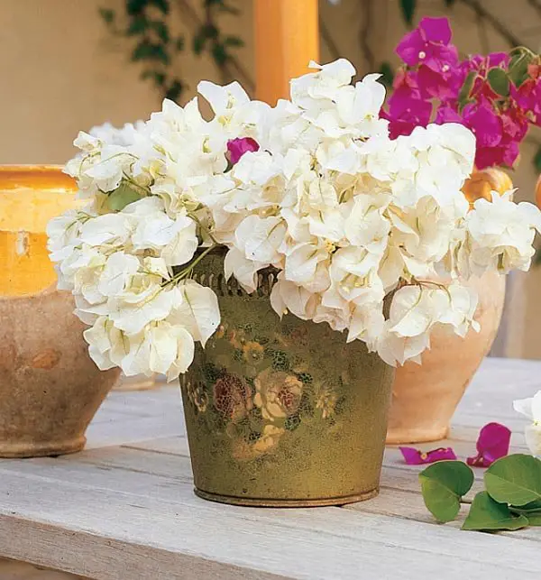 arreglo de flores en maceta