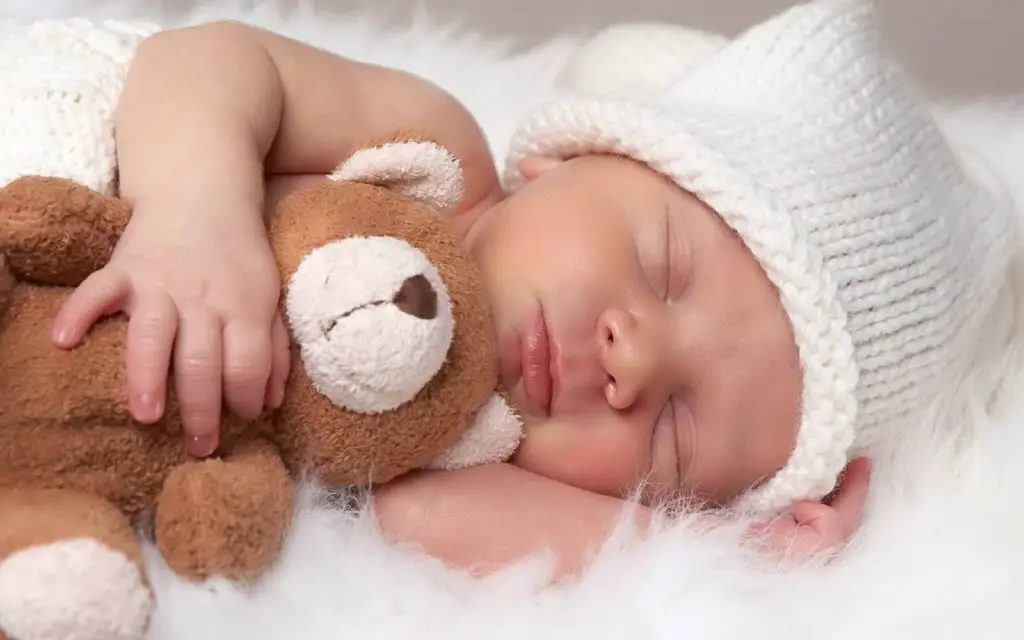 bebes curiosidades