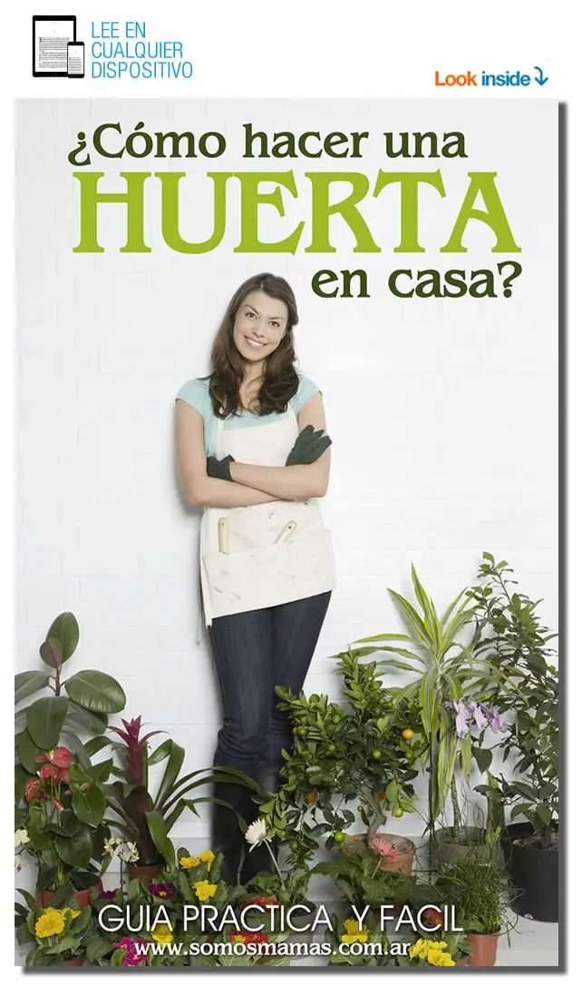 Libro ¿Como hacer una huerta en casa?