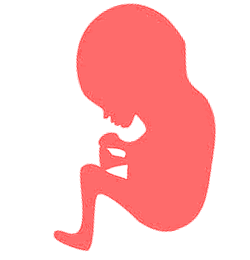 bebe de 30 semanas de embarazo bebe de 30 semanas de embarazo