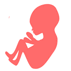 bebe 39 semanas de embarazo bebe 39 semanas de embarazo