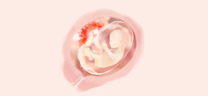 15 semanas de embarazo bebe
