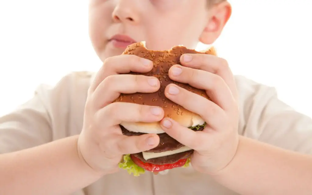 niño comiendo hamburguesa