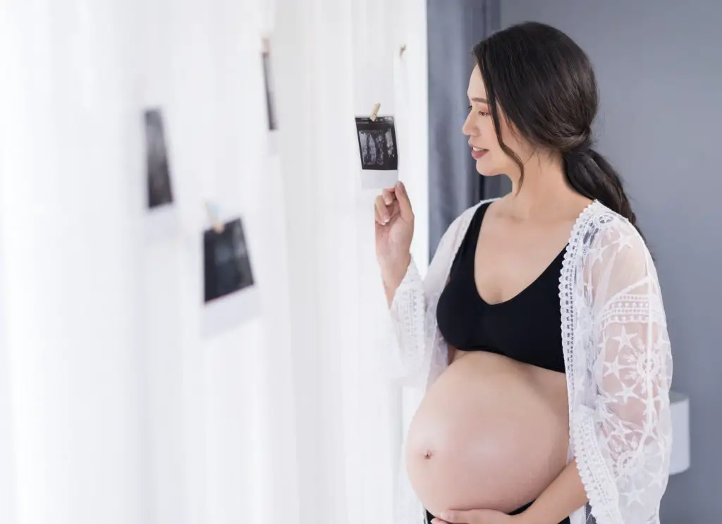 33 semanas de embarazo panza