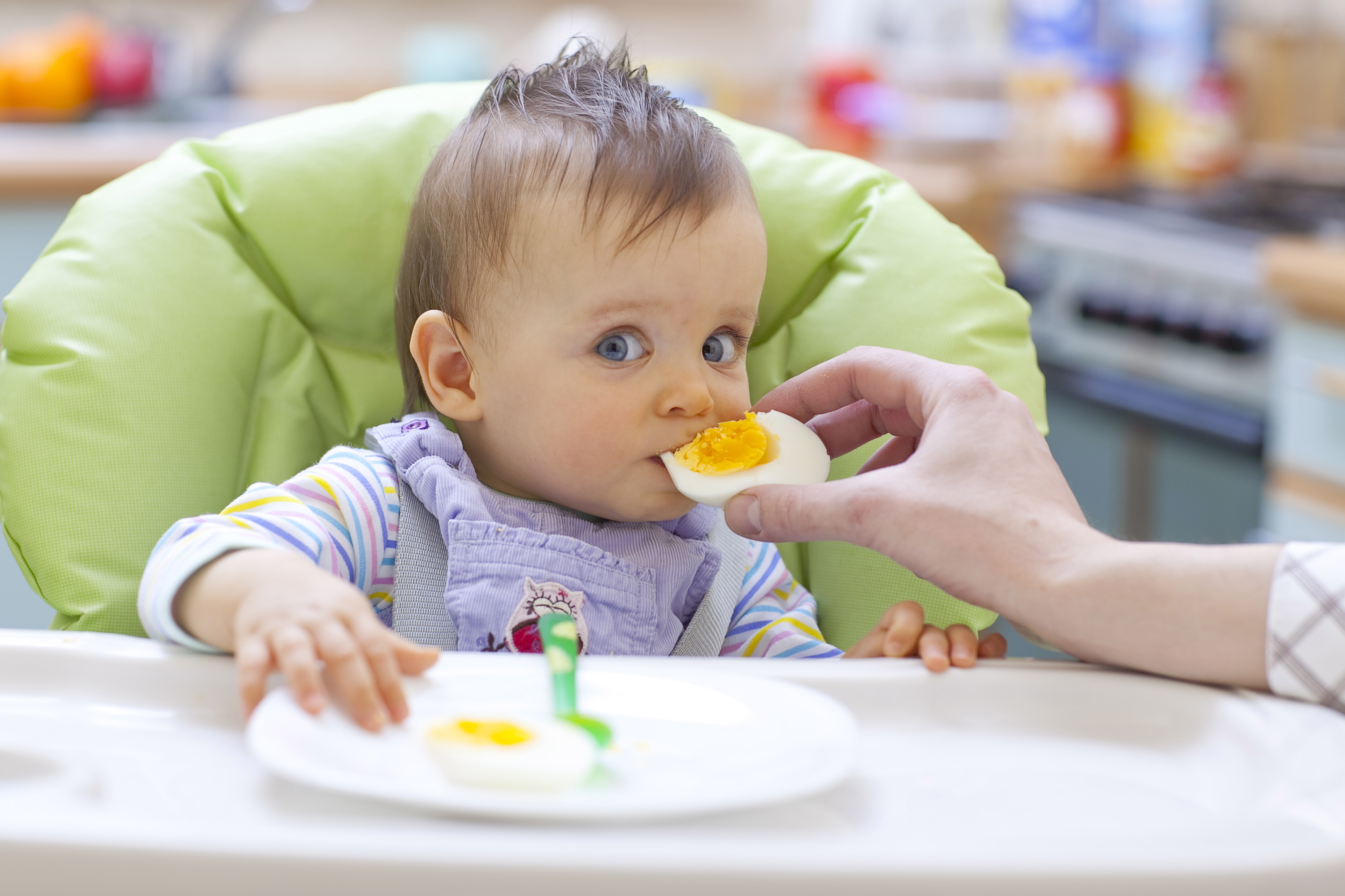 Bebé comiendo Bebé sentado comiendo de la mano de su mamá