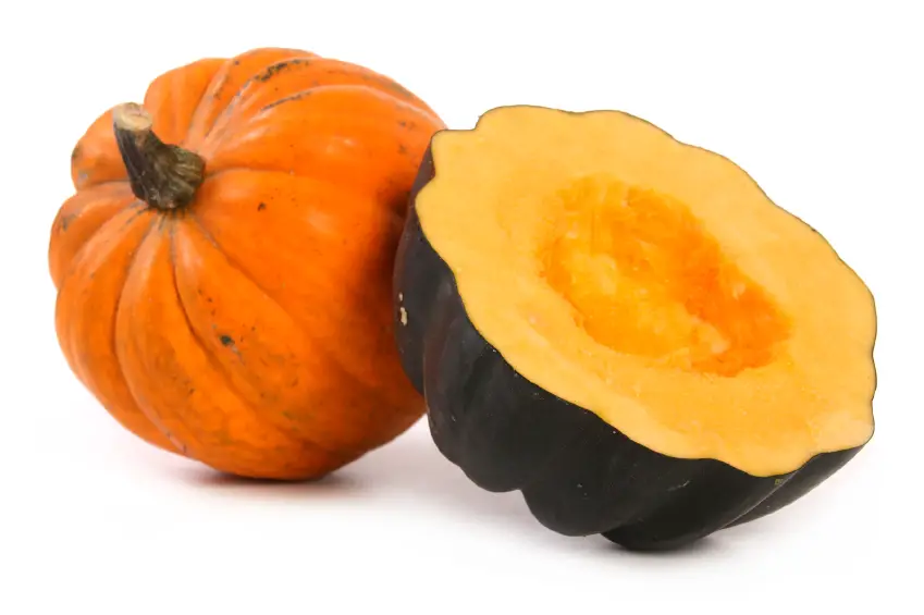 El tamaño del bebé en el embarazo en esta semana es de una calabaza verde El tamaño del bebé en el embarazo en esta semana es de una calabaza verde