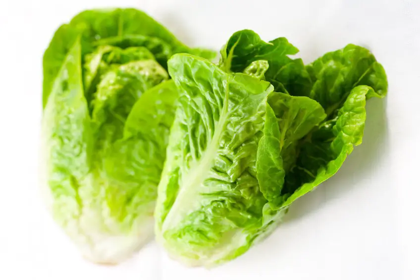 El tamaño del bebé en el embarazo en esta semana es de una lechuga El tamaño del bebé en el embarazo en esta semana es de una lechuga