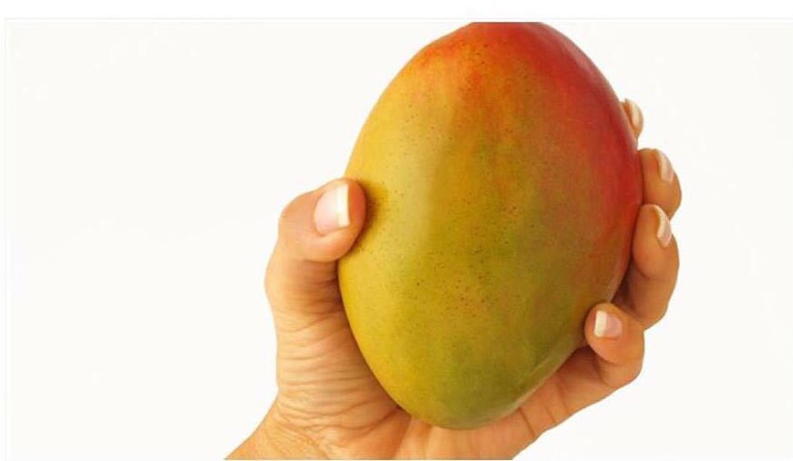 El tamaño del bebé en el embarazo en esta semana es de un mango El tamaño del bebé en el embarazo en esta semana es de un mango