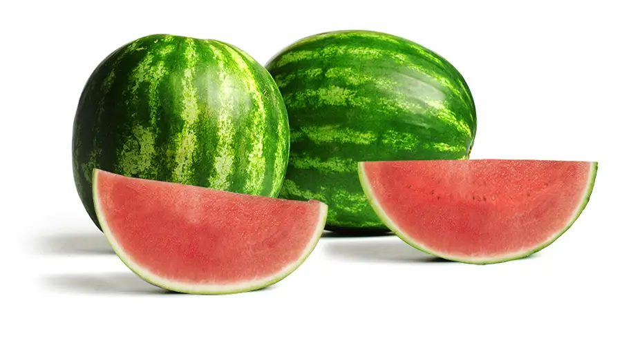 El tamaño del bebé en esta semana es de una mini sandia El tamaño del bebé en esta semana es de una mini sandia