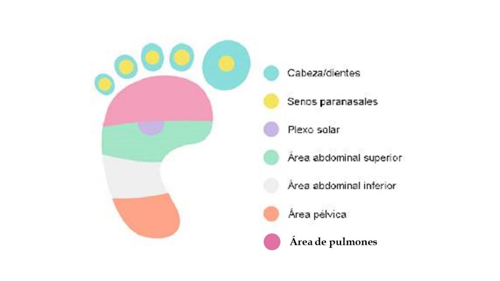 reflexologia para bebes