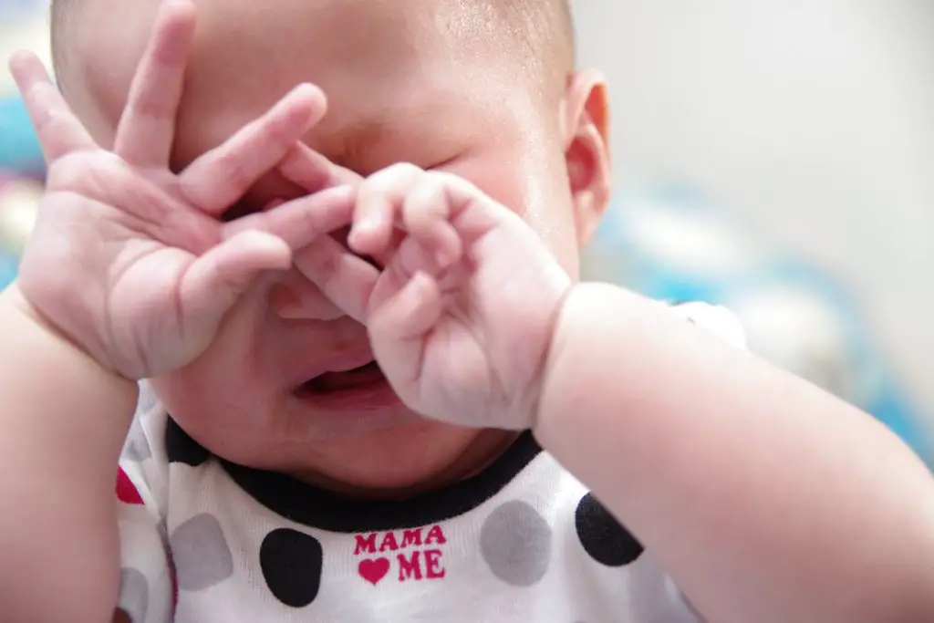 bebés de alta demanda bebés de alta demanda