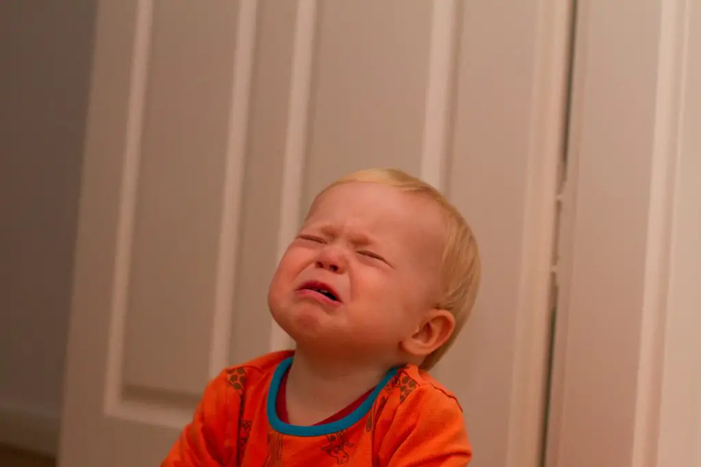 bebés de alta demanda mamá bebés de alta demanda mamá