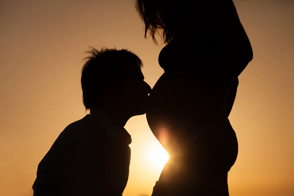 Estimulacion prenatal Estimulacion prenatal