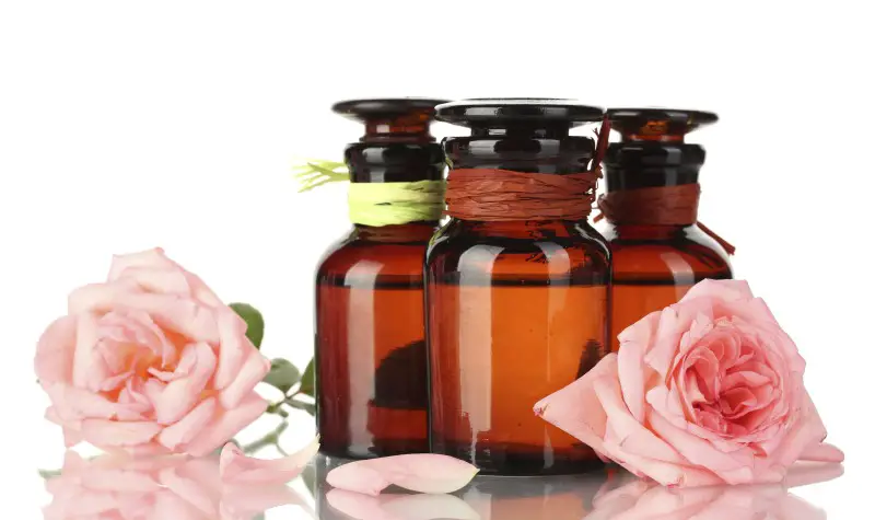 cicatriz cesárea aceite de rosa mosqueta
