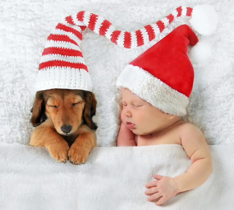 la primera navidad de tu bebe bebe y mas cota en navidad sesión fotografica