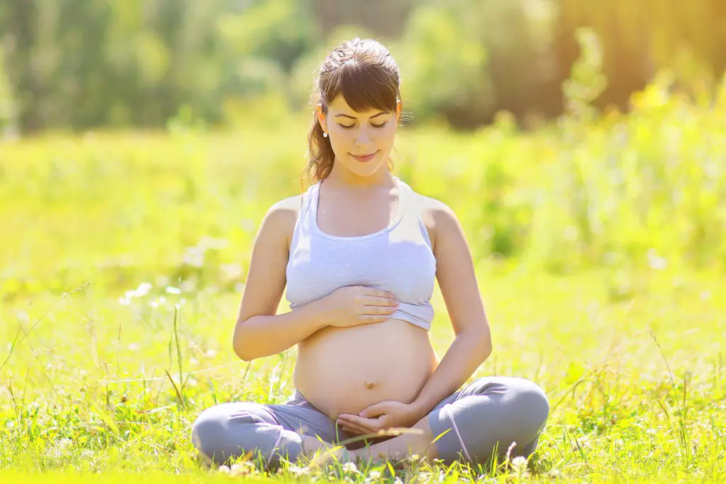 estimulación visual prenatal luz del sol estimulación visual prenatal luz del sol
