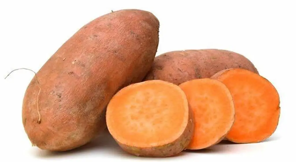 alimentos para embarazadas batata alimentos para embarazadas batata