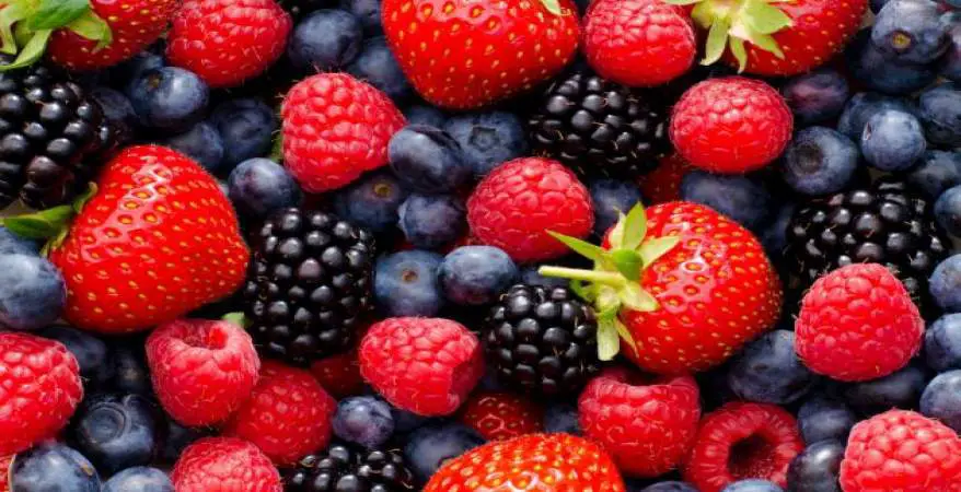alimentos para embarazadas frutos rojos alimentos para embarazadas frutos rojos