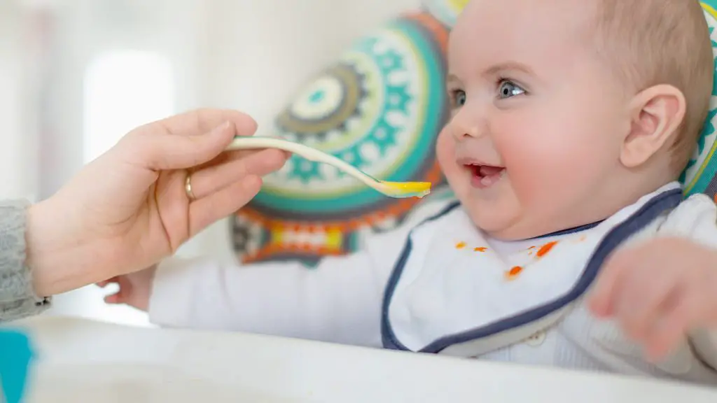 bebé de 6 meses desarrollo