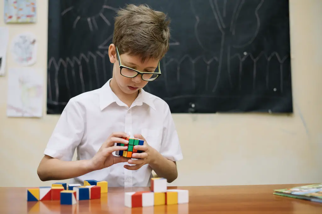 Cuales son las estrategias posibles en el colegio y el hogar Ninos con altas capacidades