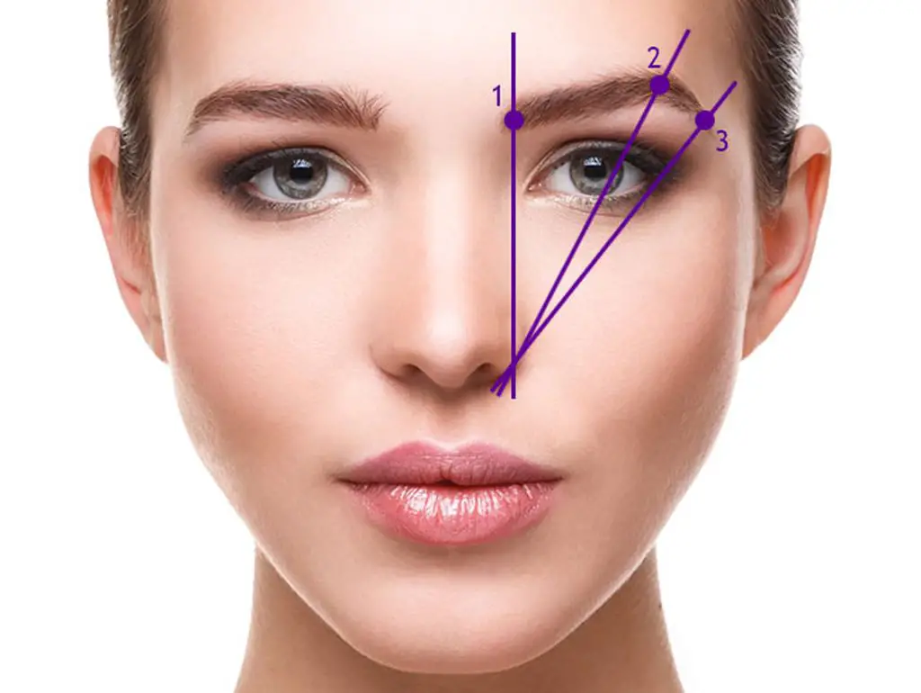 tipos de cejas medidas naturales