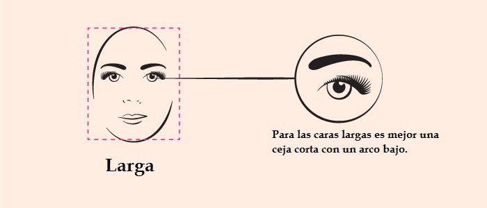 tipos de cejas segun la forma del rostro alargada