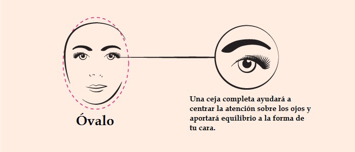 tipos de cejas segun la forma del rostro ovalo