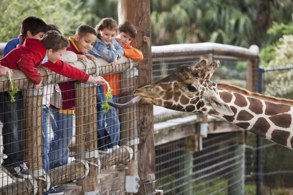actividades del día del niño en el parque de atracciones actividades del día del niño en el parque de atracciones