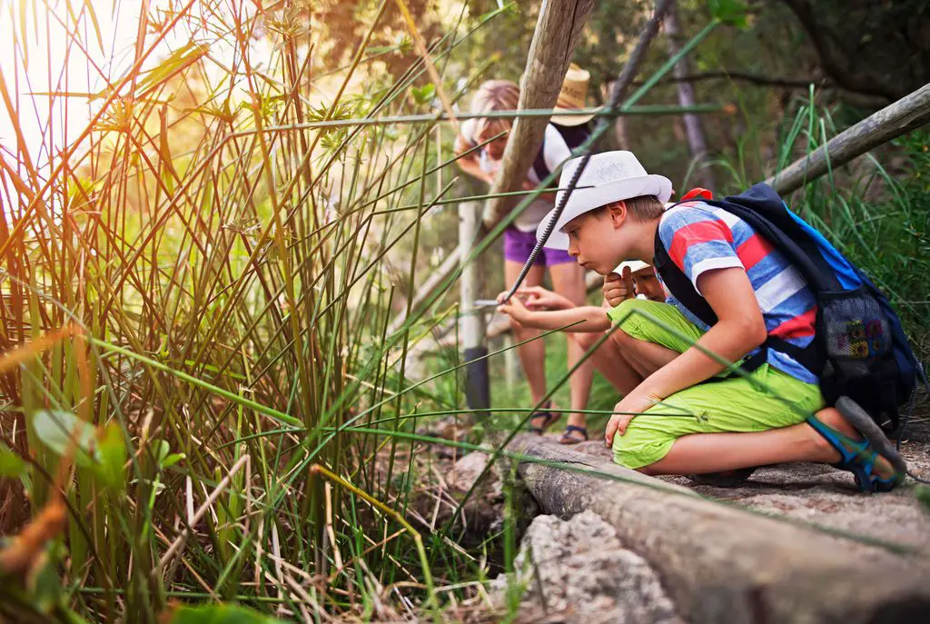 actividades del dia del nino escurcion