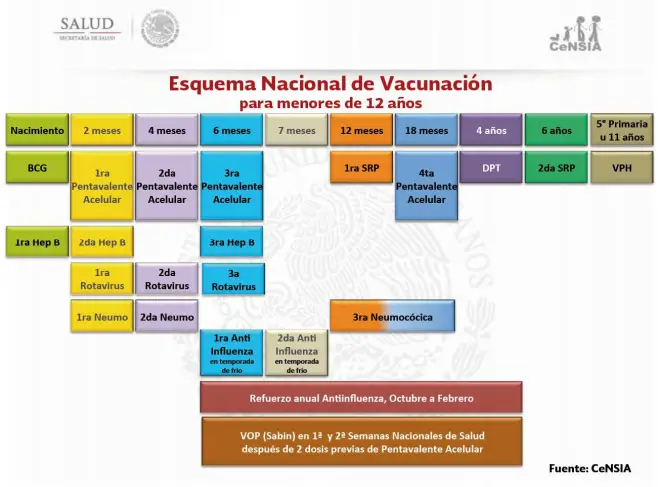 esquema de vacunacion de mexico 2018-2019 esquema de vacunacion de mexico 2018-2019