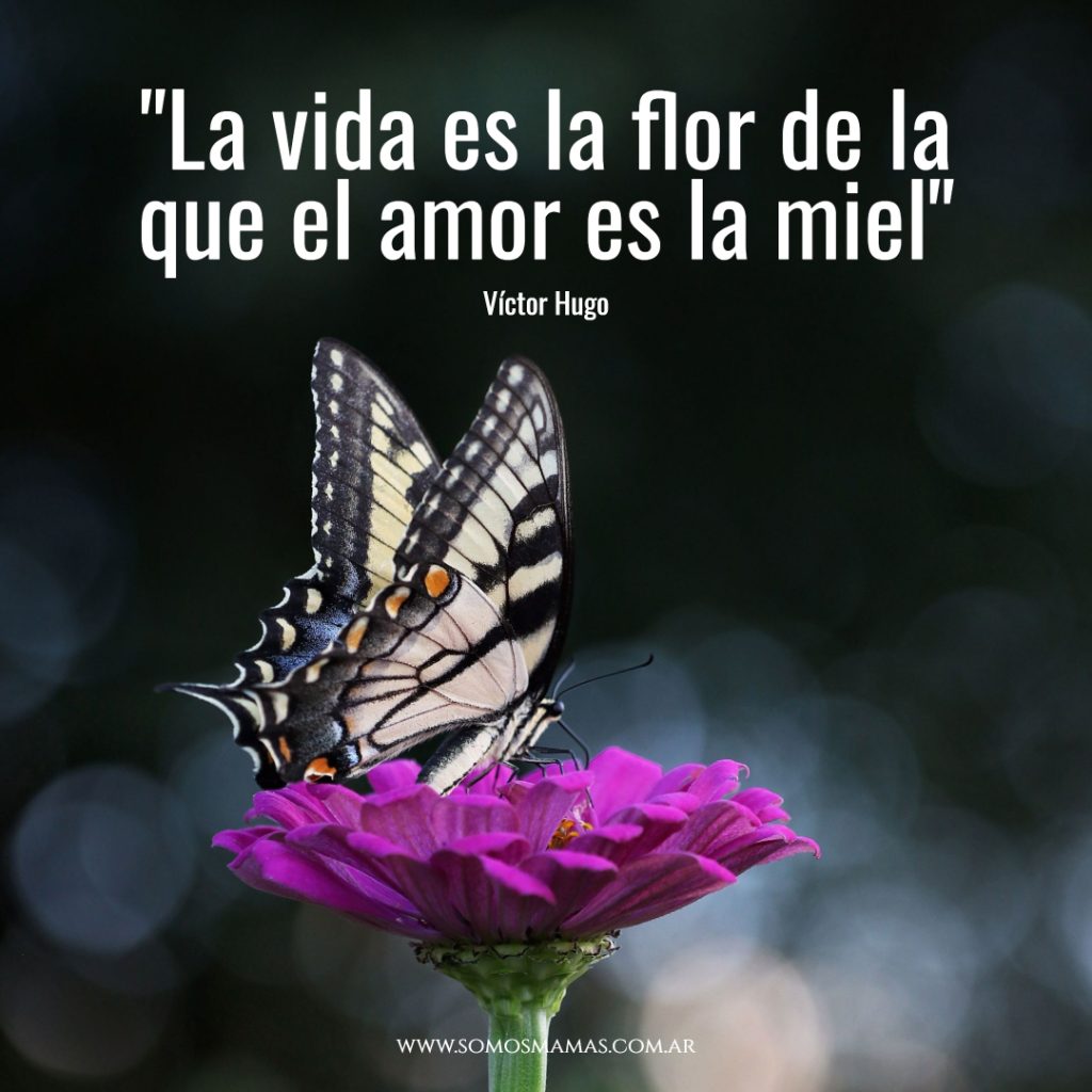 Mensajes de amor 