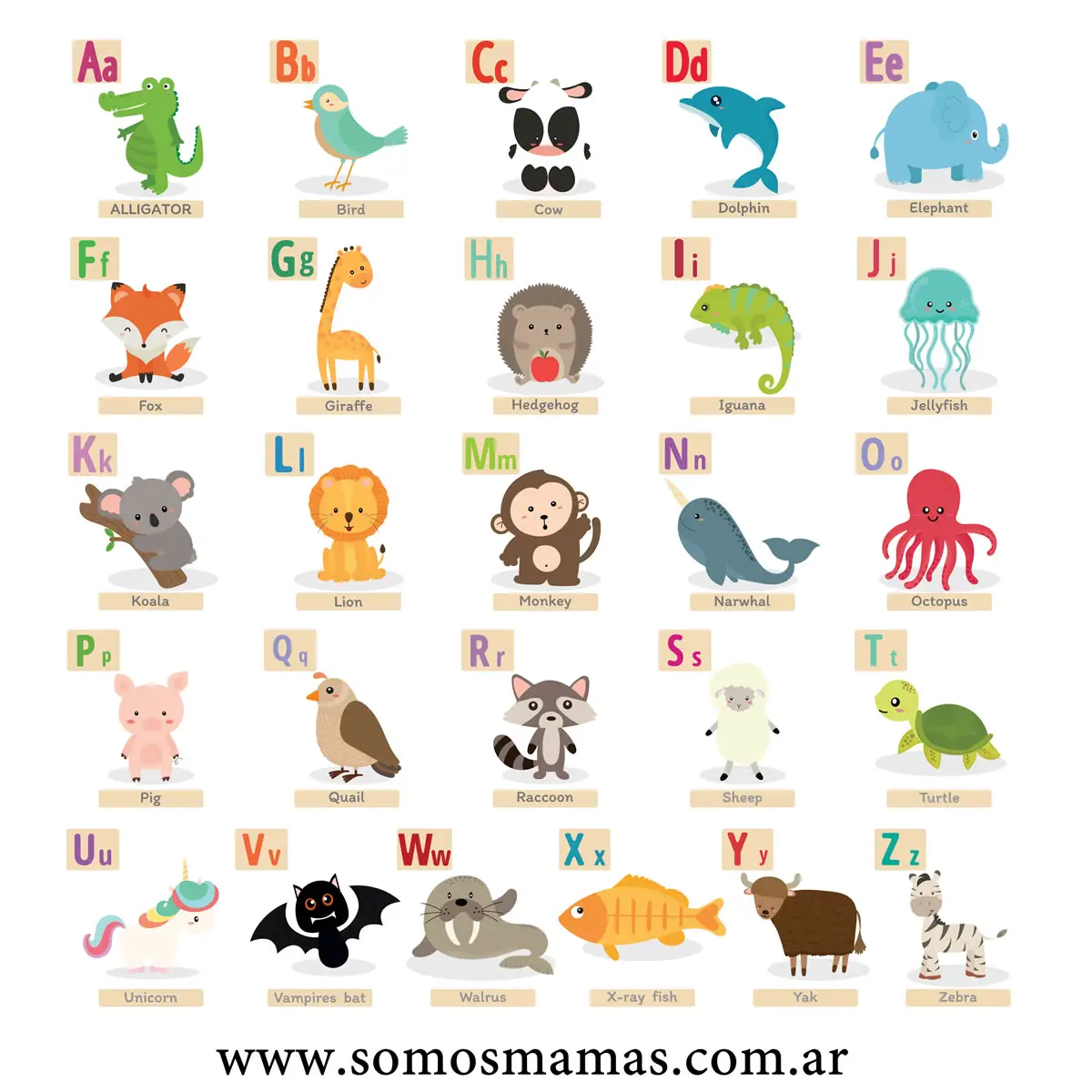 Animales En Inglés Lista De 150 Nombres De Animales En Ingles Y