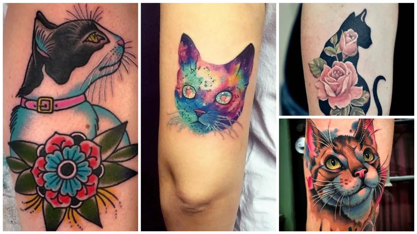33 ideas de Tatuajes de gatos para mujeres místicas y libres