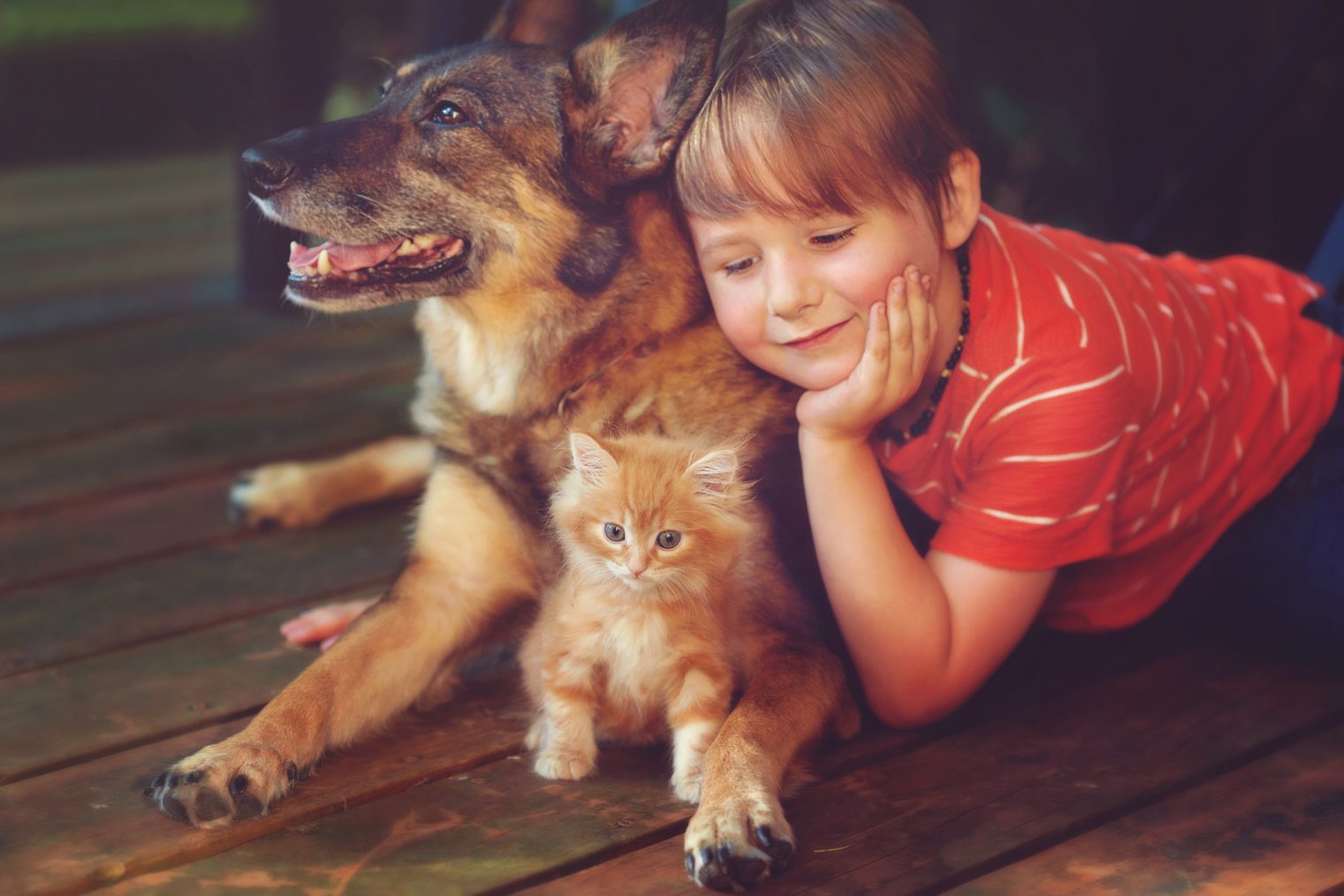 animales para ninos cuidados