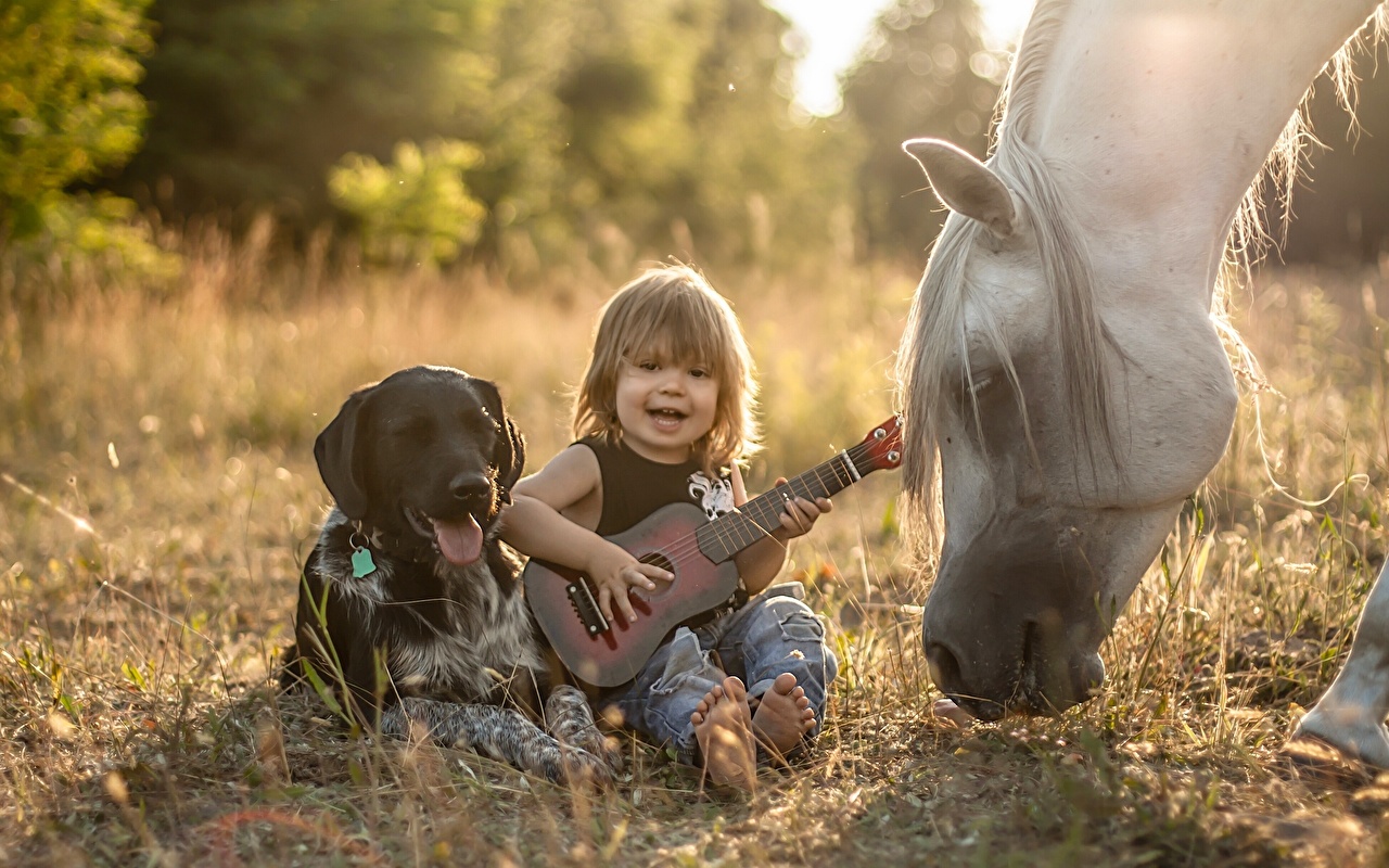 animales para ninos de kinder