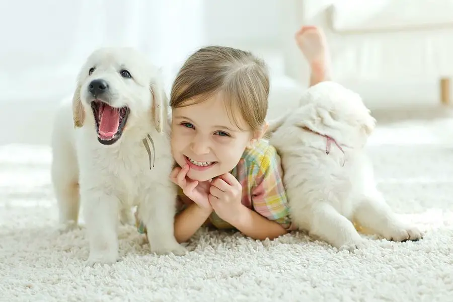 animales para ninos perros