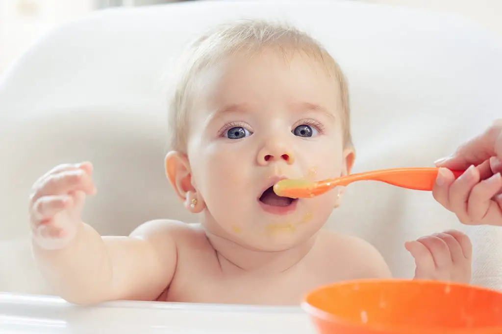 papillas para bebés de 8 meses