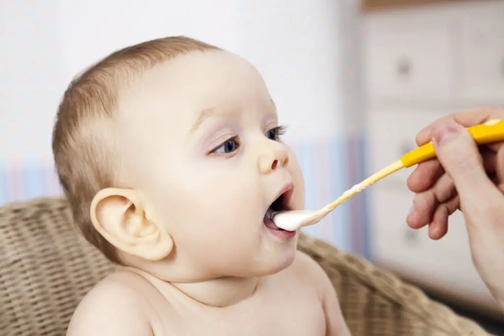 yogures para bebes yogures para bebes