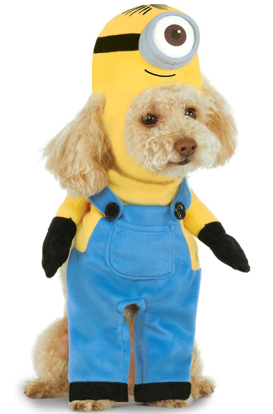 Disfraces para perros Disfraces para perros