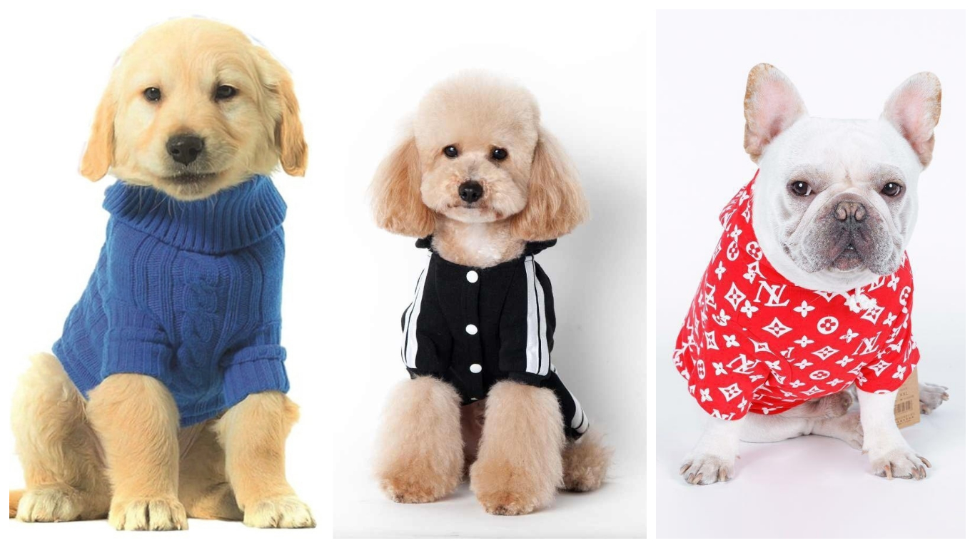 Trajes para perros (1)