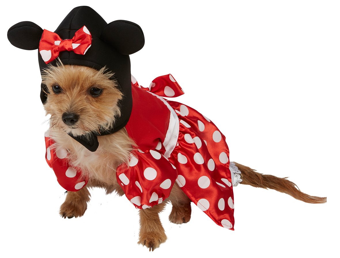 Disfraces para perros Disfraces para perros