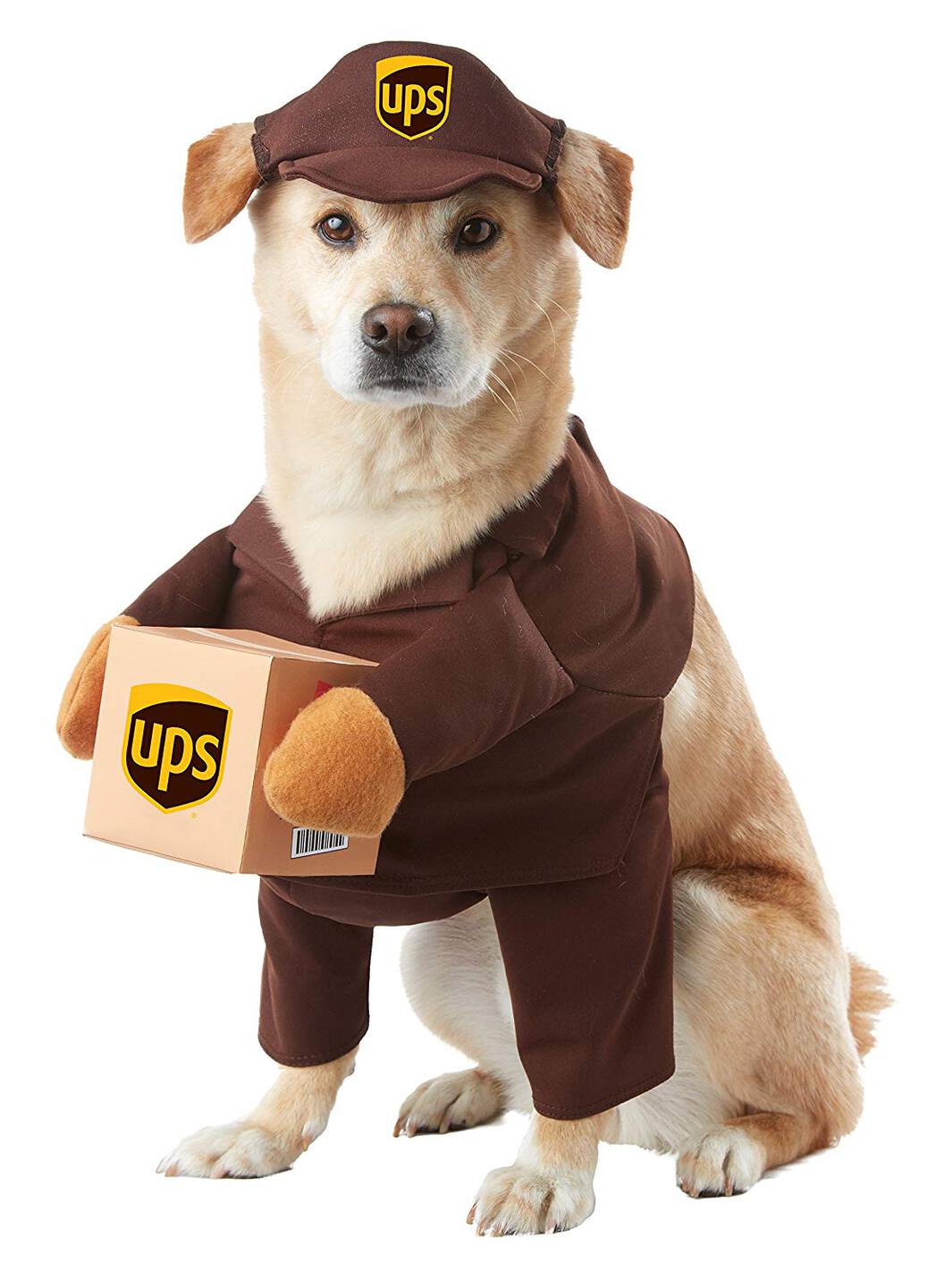 Disfraces para perros Disfraces para perros