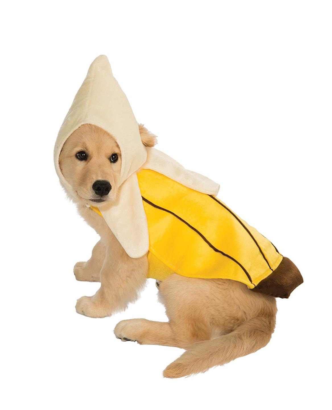 Disfraces para perros Disfraces para perros