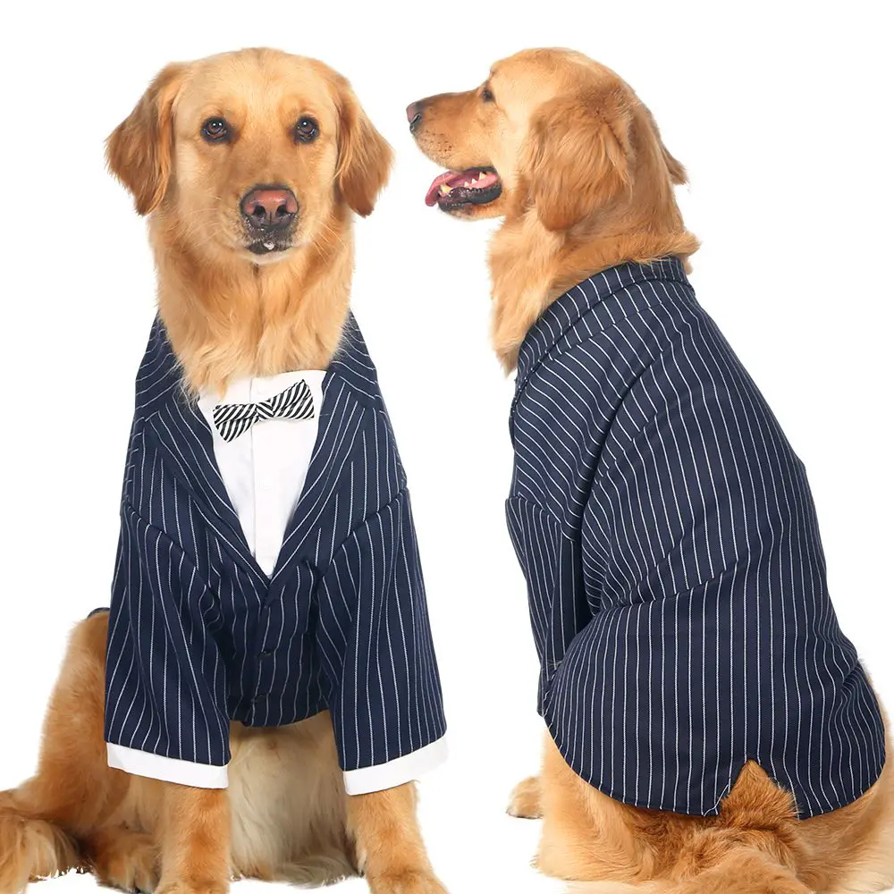 Disfraces para perros Disfraces para perros