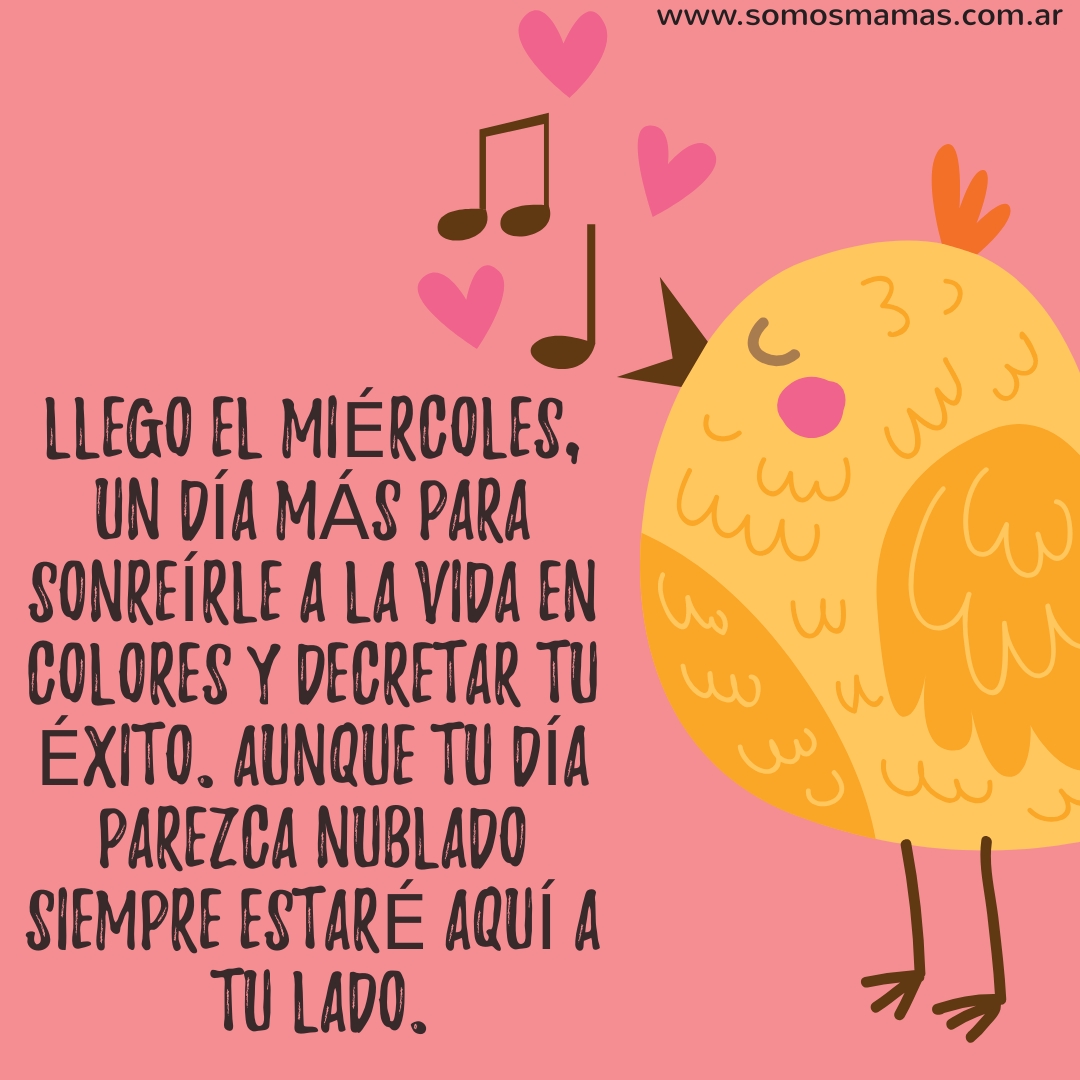 Feliz miércoles feliz miercoles