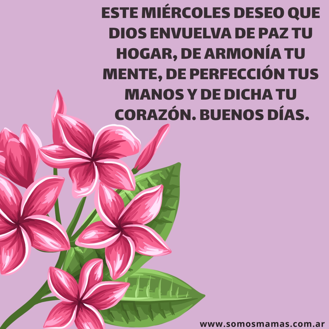 Feliz miércoles para compartir Feliz miercoles