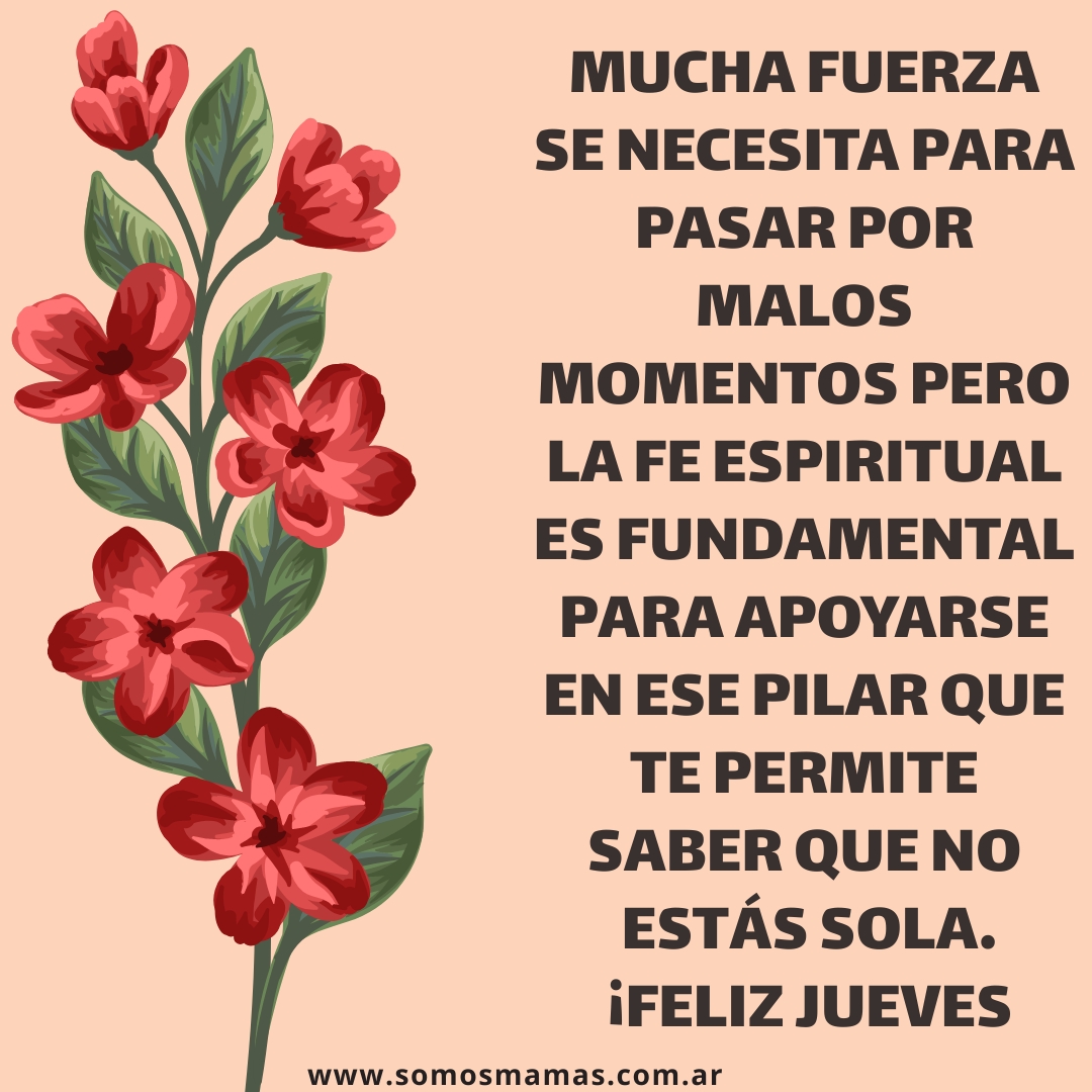 Hermoso día y feliz jueves Lindo jueves de compañerismo